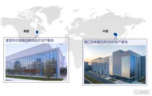 金斯瑞生物科技 營收大增81.9%，經(jīng)調(diào)凈利增速超5倍，展現(xiàn)卓越盈利韌性
