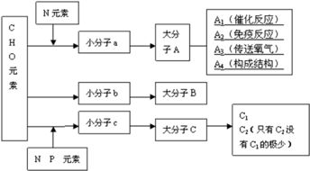 一年生草本植物x種群數(shù)量調(diào)查分析